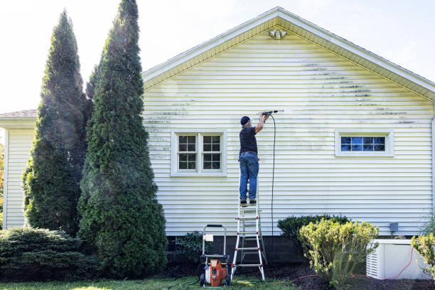 Best Soft Washing for Delicate Surfaces in Borger, TX